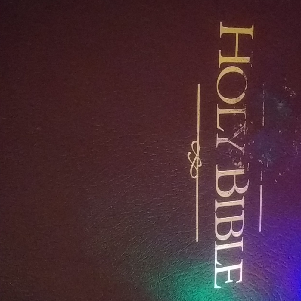 Family size bible big print as is.